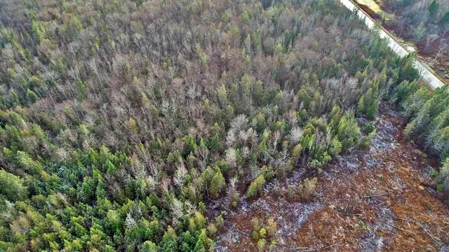 $54,900 | Lot 7 Bangor Road, Linneus, ME 04730