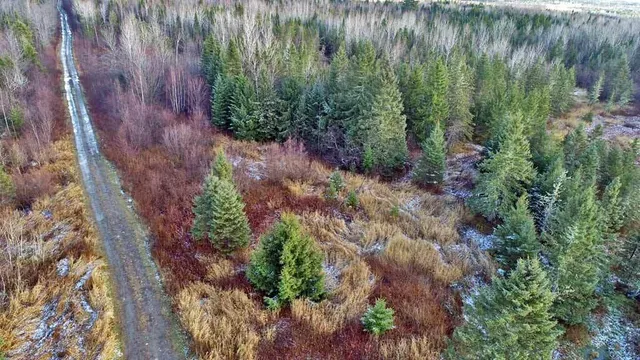 $54,900 | Lot 7 Bangor Road, Linneus, ME 04730