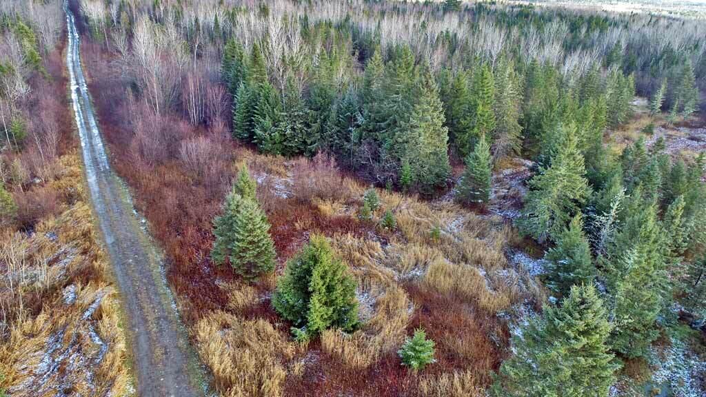 Lot 7 Bangor Road Linneus, ME 04730 - Photo 4 of 24 land-me-corner-linneus