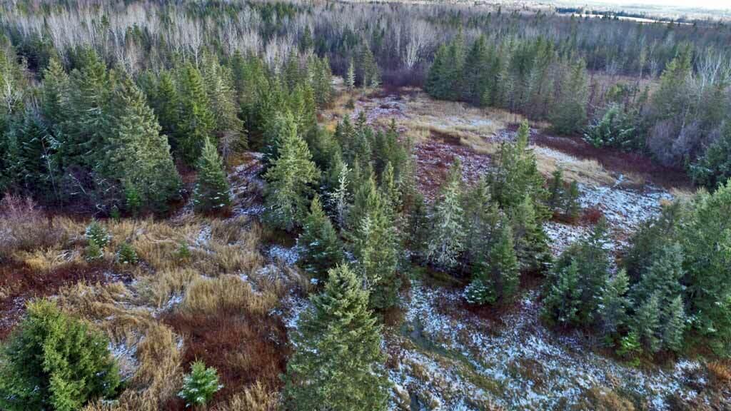 Lot 7 Bangor Road Linneus, ME 04730 - Photo 5 of 24 land-me-aroostook-county