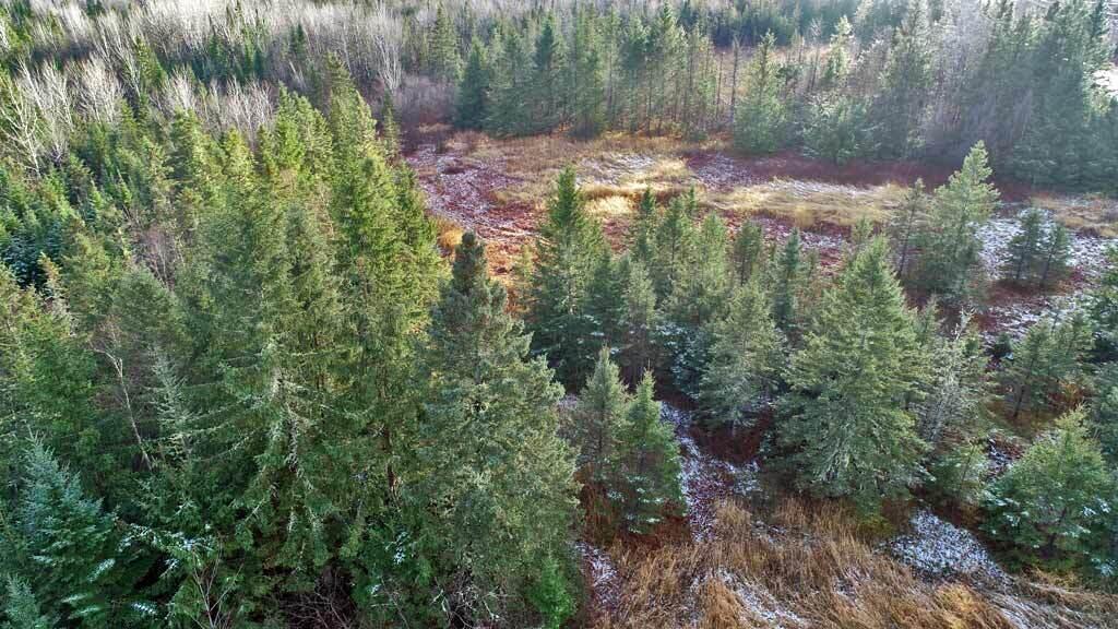 Lot 7 Bangor Road Linneus, ME 04730 - Photo 6 of 24 land-me-s-aroostook