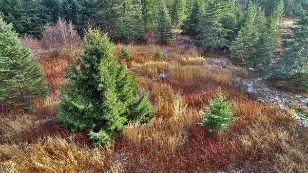 $49,900 | Lot 7 Bangor Road, Linneus, ME 04730