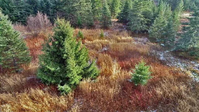 $54,900 | Lot 7 Bangor Road, Linneus, ME 04730