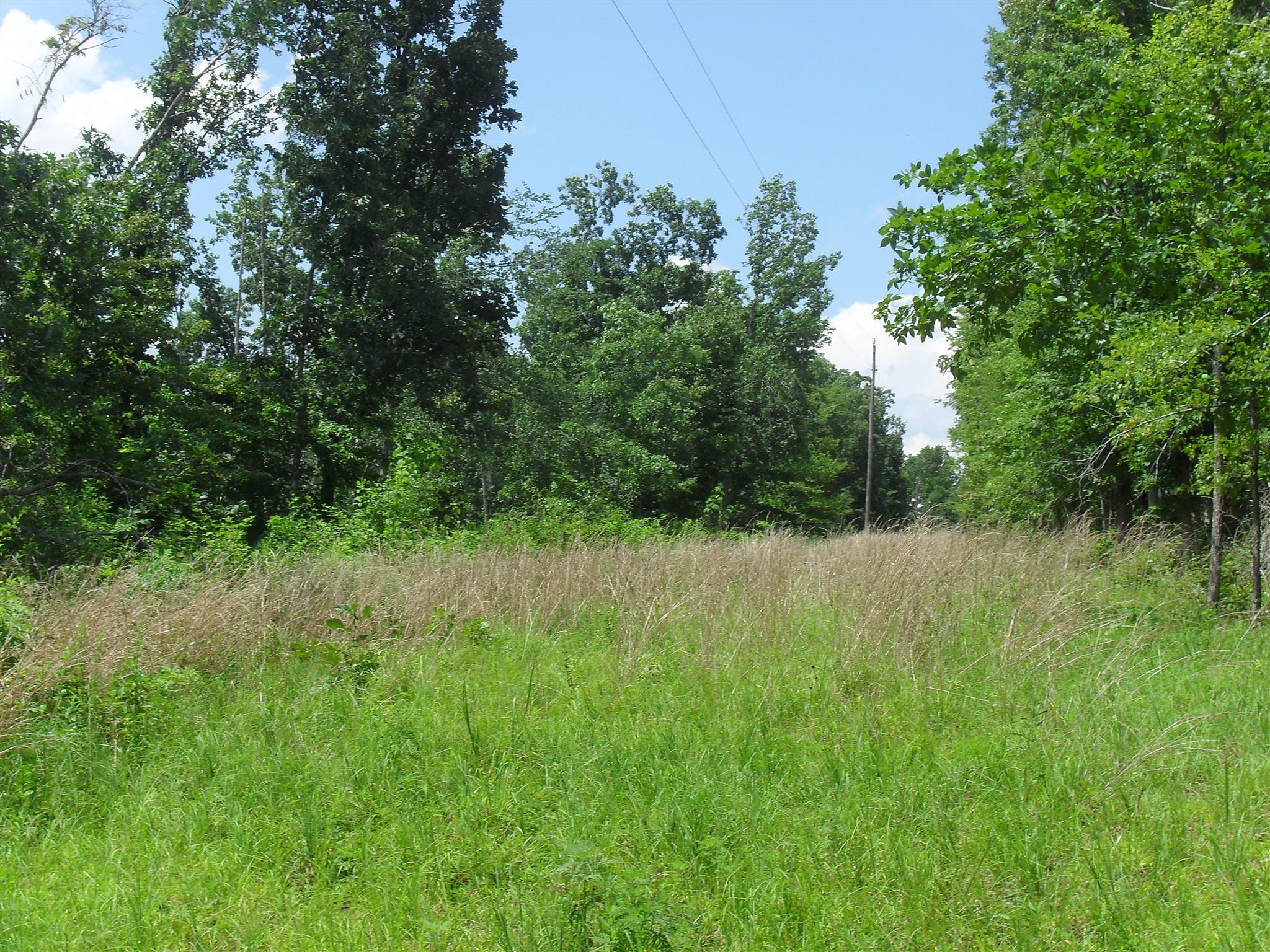 0 Young Road Waverly, TN 37185 - Photo 1 of 8 Gallery Image 1