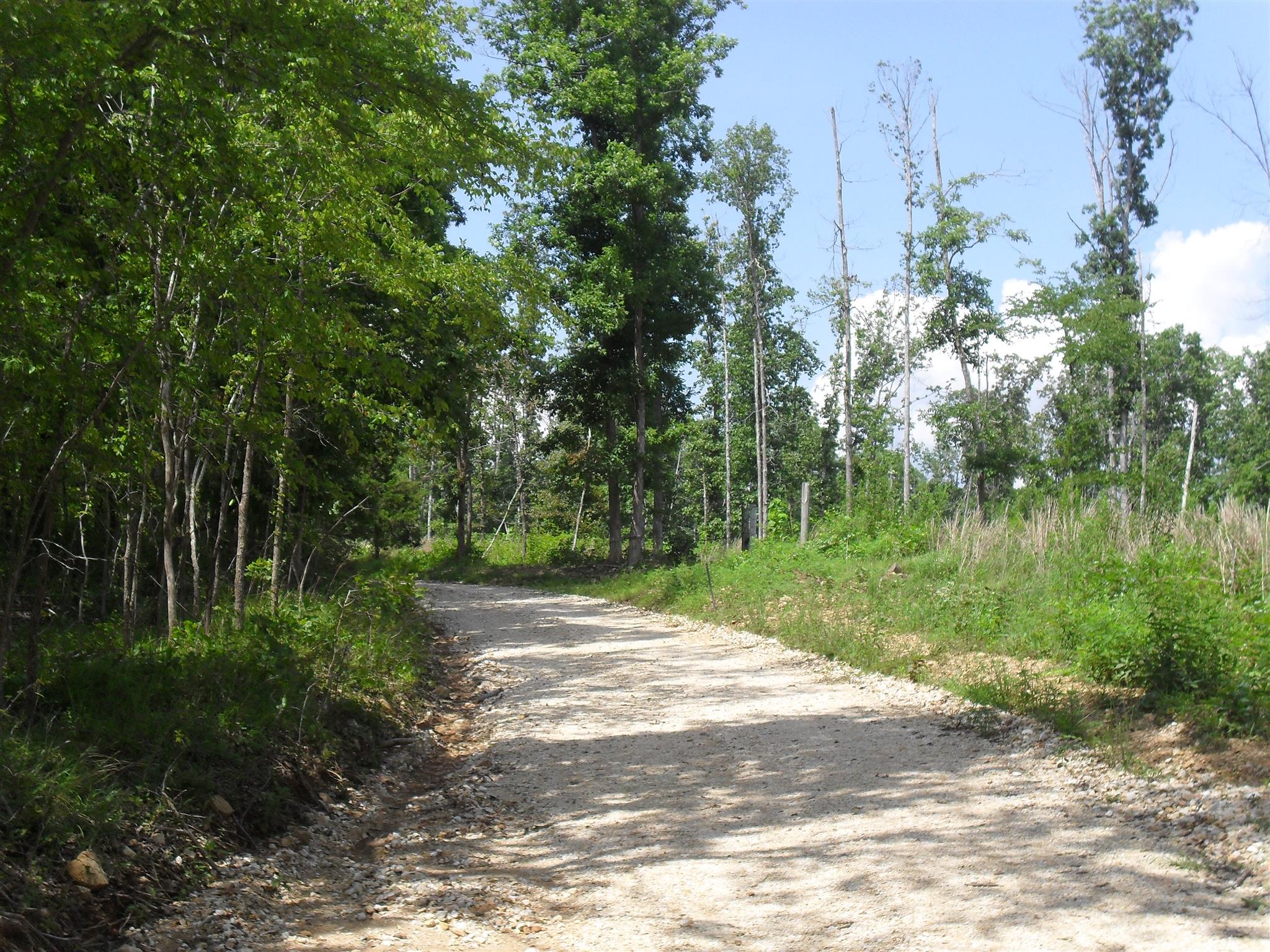 0 Young Road Waverly, TN 37185 - Photo 2 of 8 Gallery Image 2
