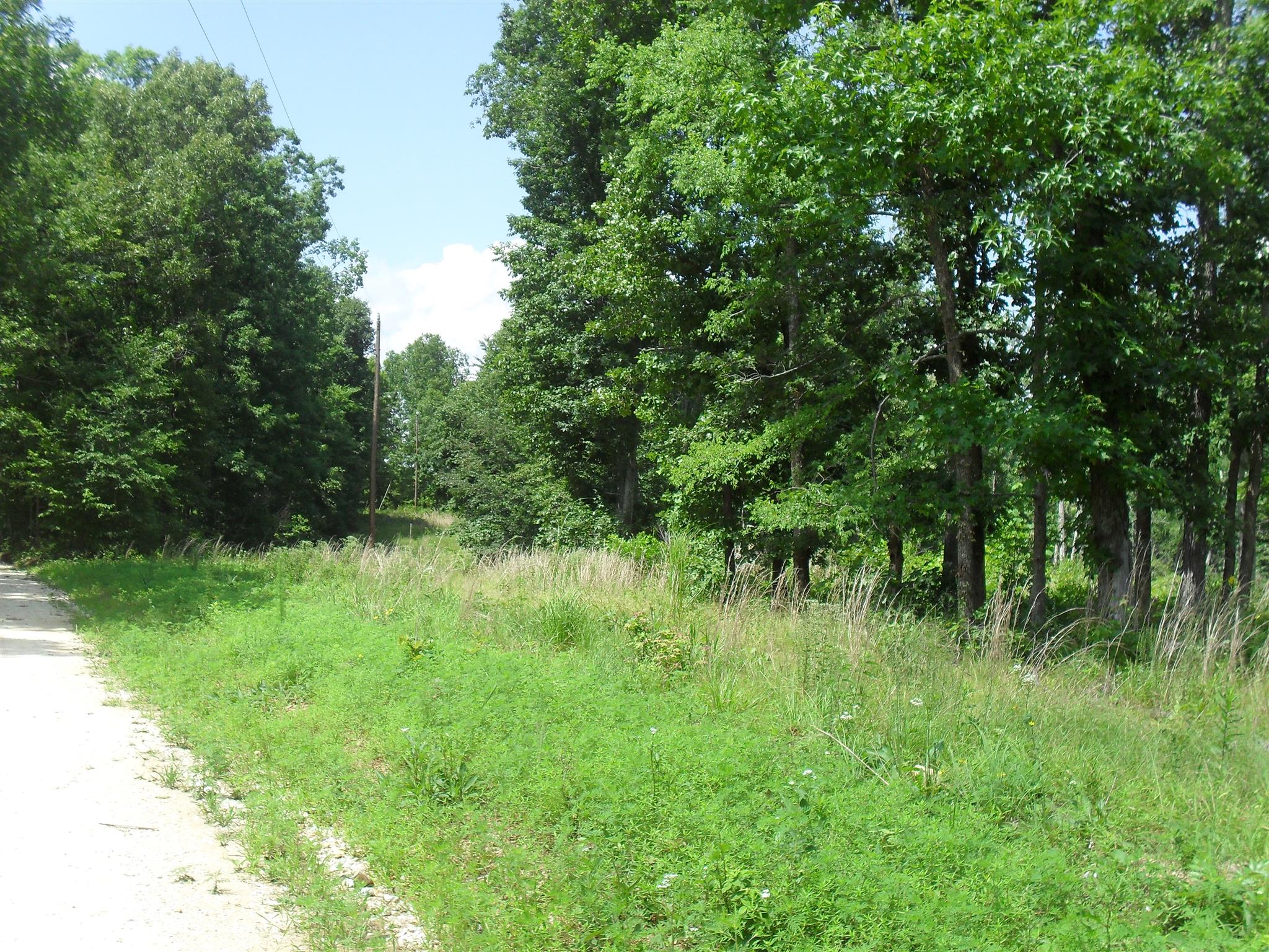 0 Young Road Waverly, TN 37185 - Photo 4 of 8 Gallery Image 4