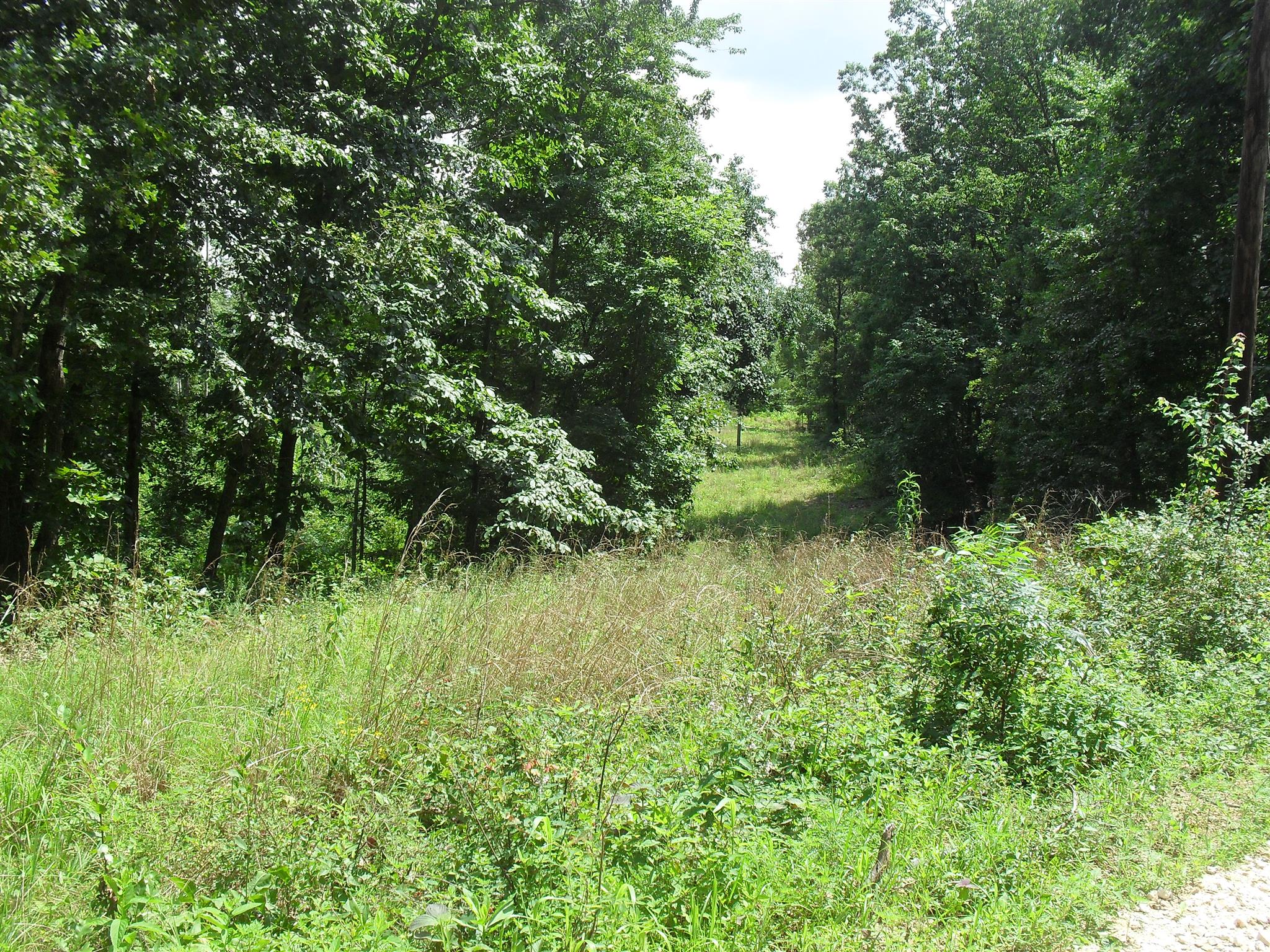 0 Young Road Waverly, TN 37185 - Photo 6 of 8 Gallery Image 6