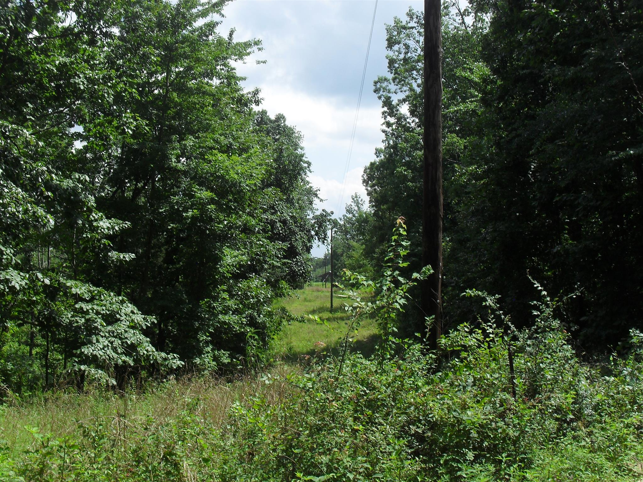 0 Young Road Waverly, TN 37185 - Photo 7 of 8 Gallery Image 7