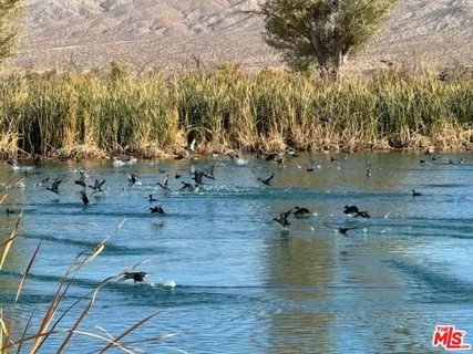 a view of a lake with houses