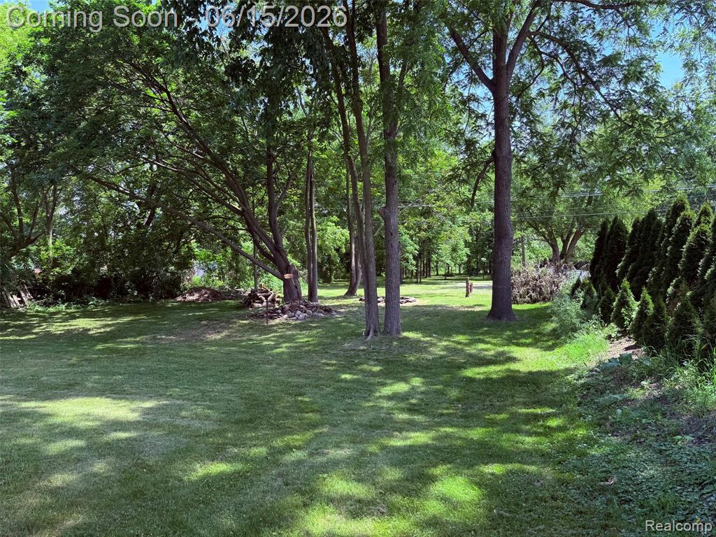 29780 Milford Road New Hudson, MI 48165 - Photo 5 of 14