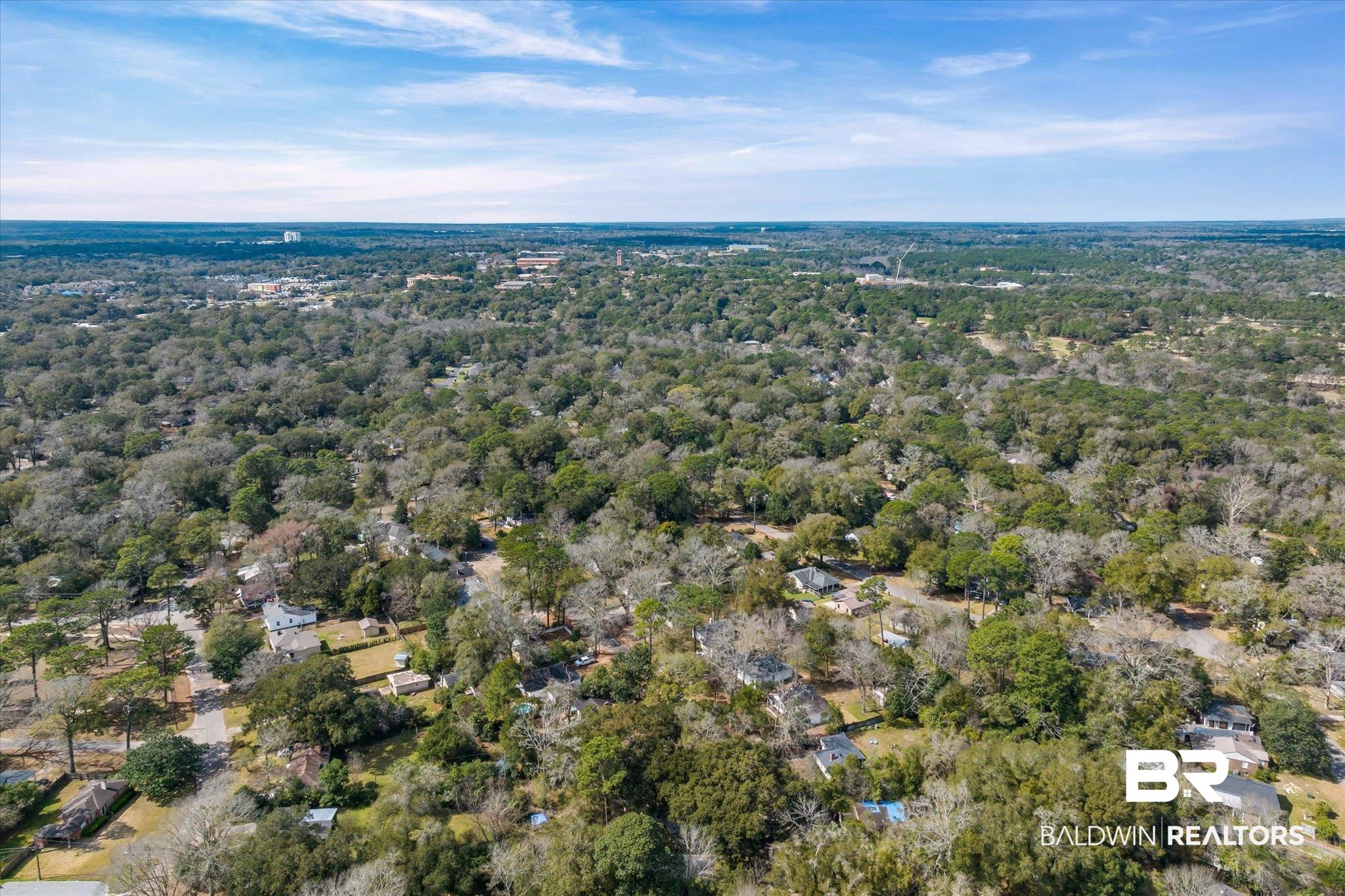 5117 Norton Lane Mobile, AL 36608 - Photo 33 of 35 Bird's eye view of a forest