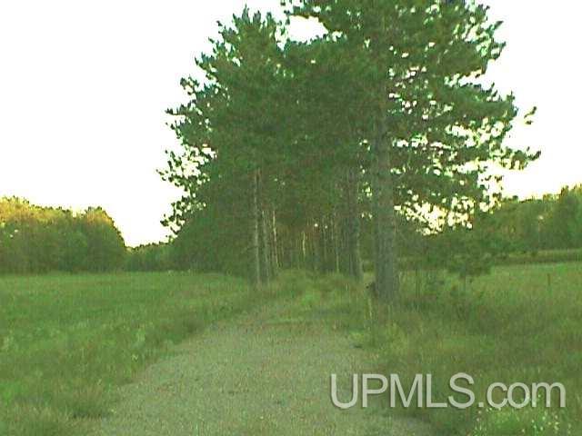 Tbd Ball Road Norway, MI 49870 - Photo 7 of 9