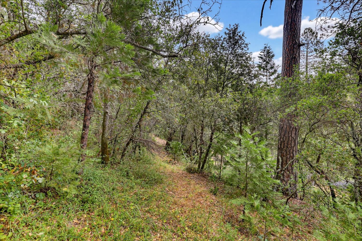 17422 Scopar Road Grass Valley, CA 95949 - Photo 47 of 63