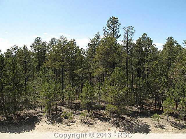 11780 Windmill Road Colorado Springs, CO 80908 - Photo 2 of 7