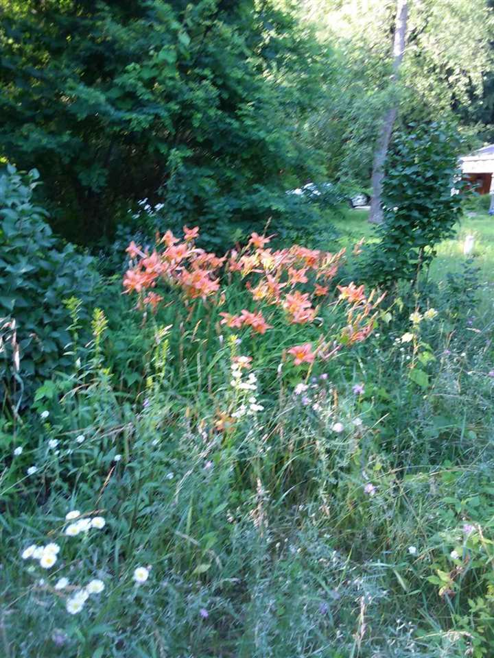 5376 Durga Road Williamsburg, MI 49690 - Photo 3 of 40 1870521-2.JPG