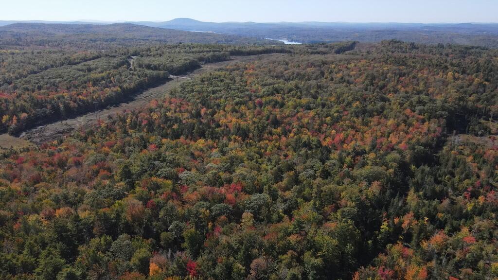 313 Betts Road Orrington, ME 04474 - Photo 15 of 30 Betts Rd 27 acres (Copy)