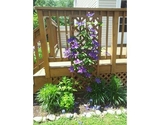 166 New Estate Road Littleton, MA 01460 - Photo 29 of 30 Gallery Image 29