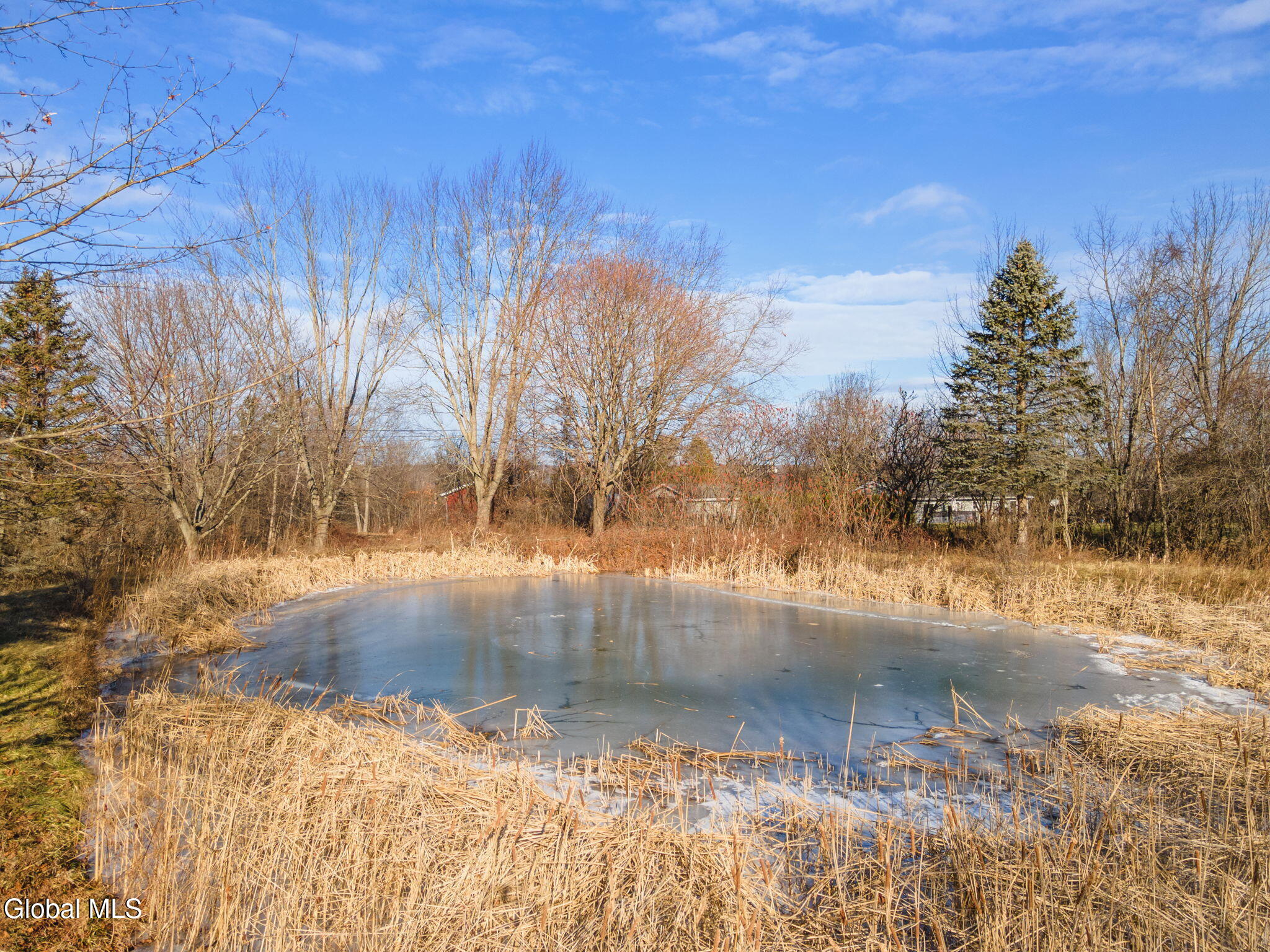 1146 Bulls Head Road Florida, NY 12010 - Photo 7 of 39 38-1146BullsHeadRd_38