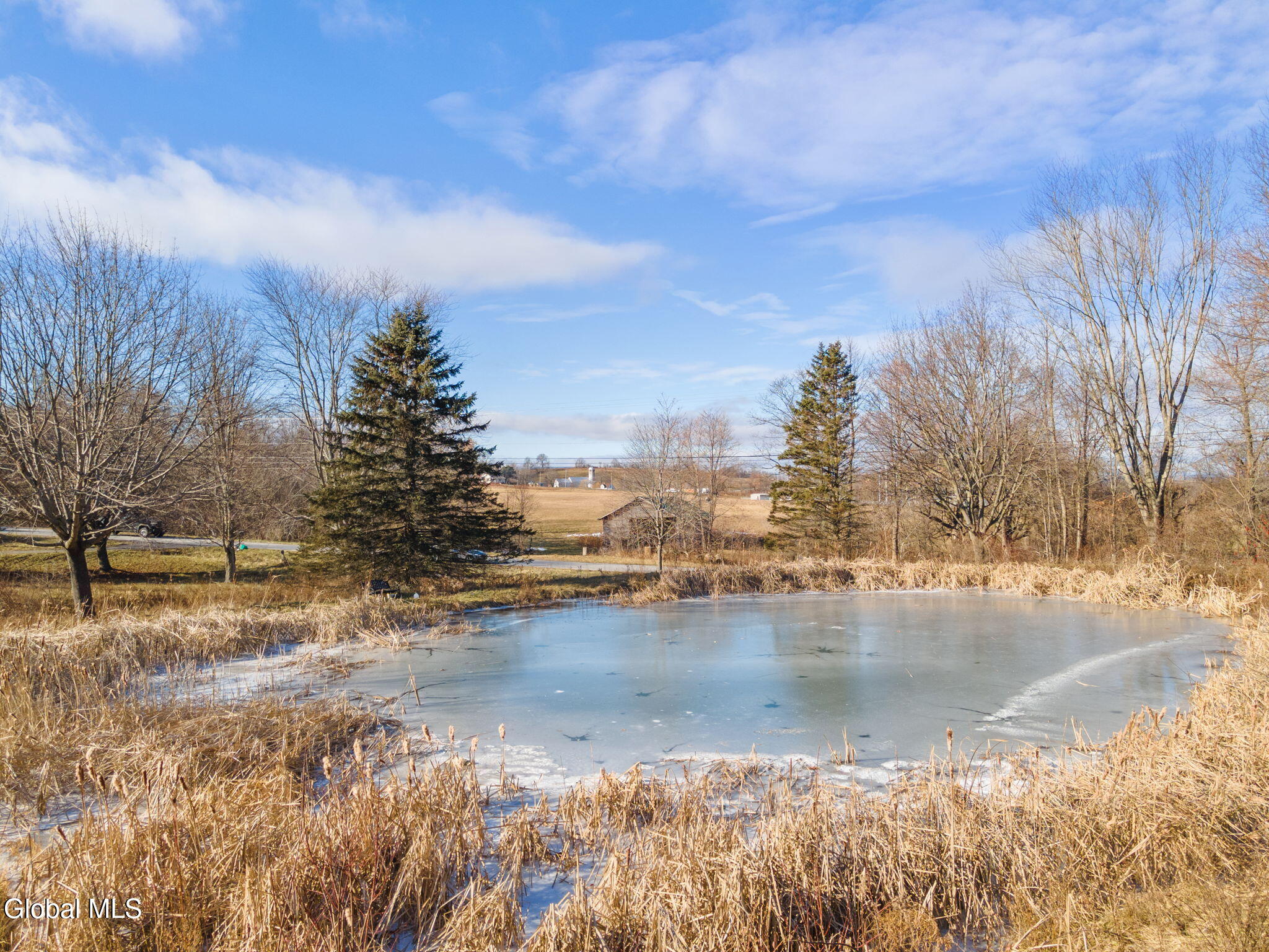 1146 Bulls Head Road Florida, NY 12010 - Photo 10 of 39 39-1146BullsHeadRd_39