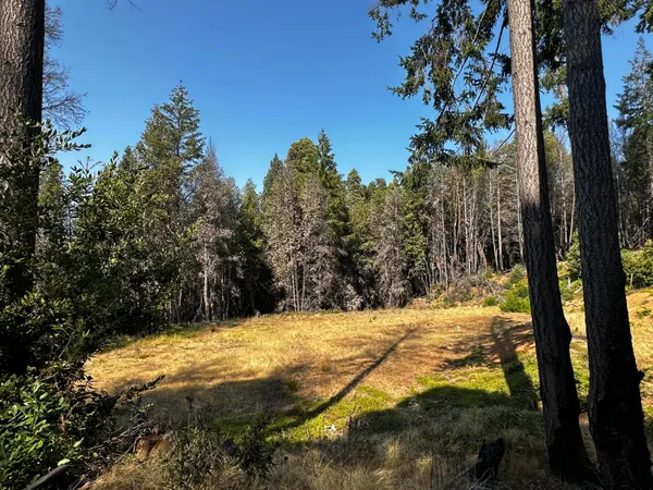 $150,000 | 3 Un-named Road, Willow Creek, CA 95573