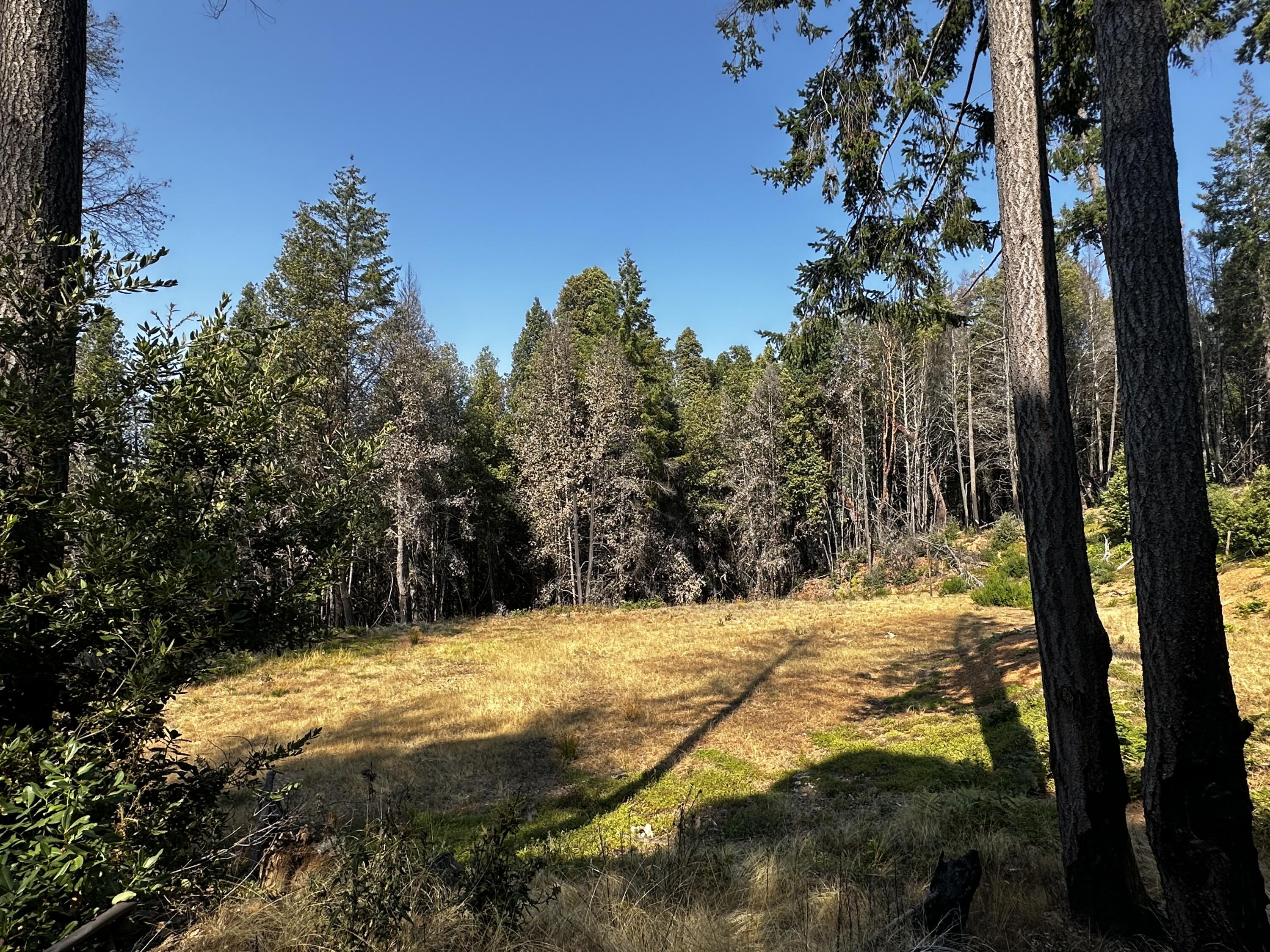 3 Un-named Road Willow Creek, CA 95573 - Photo 1 of 6