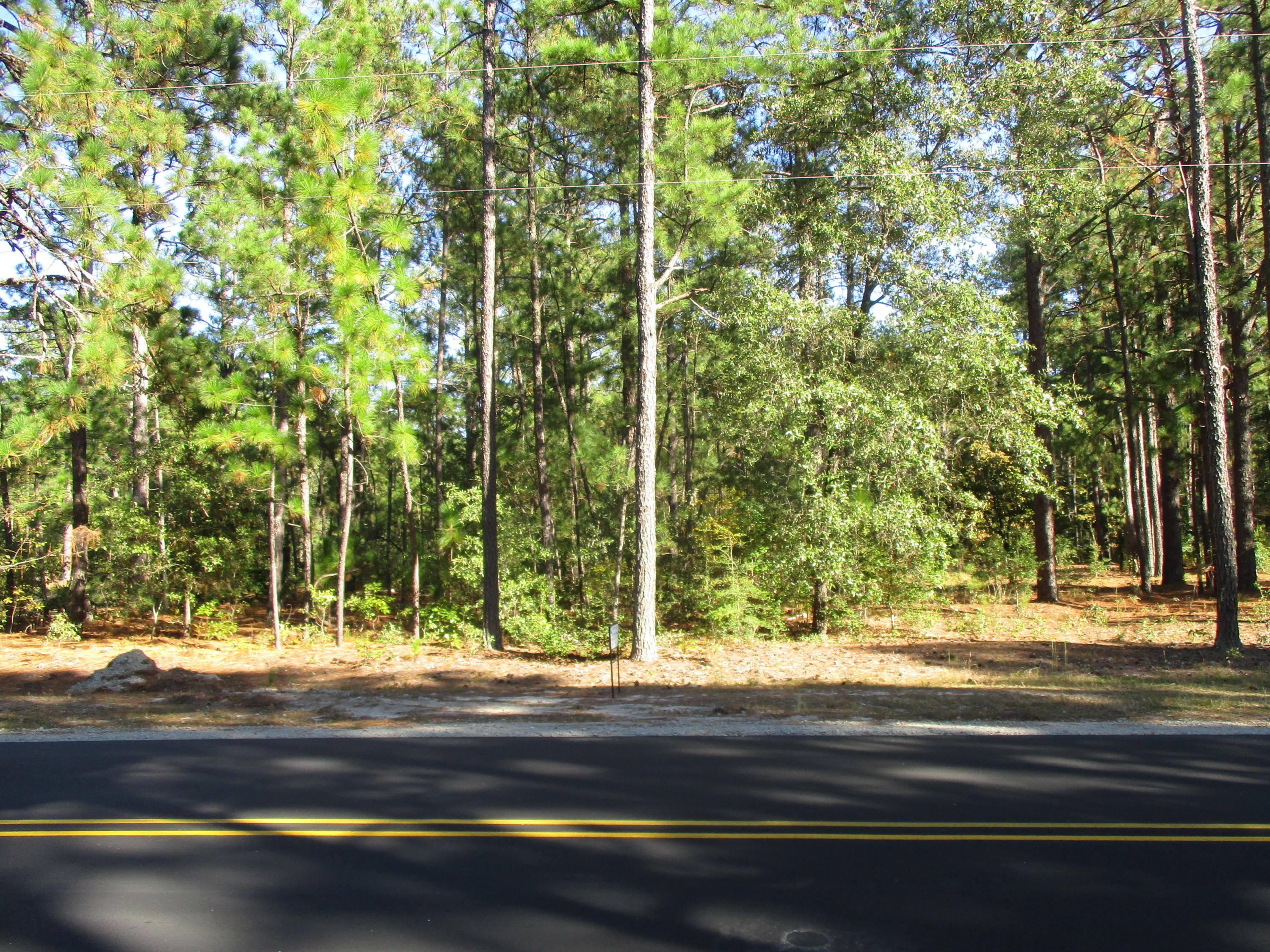 1249 Linden Road Aberdeen, NC 28315 - Photo 2 of 4 IMG_3665