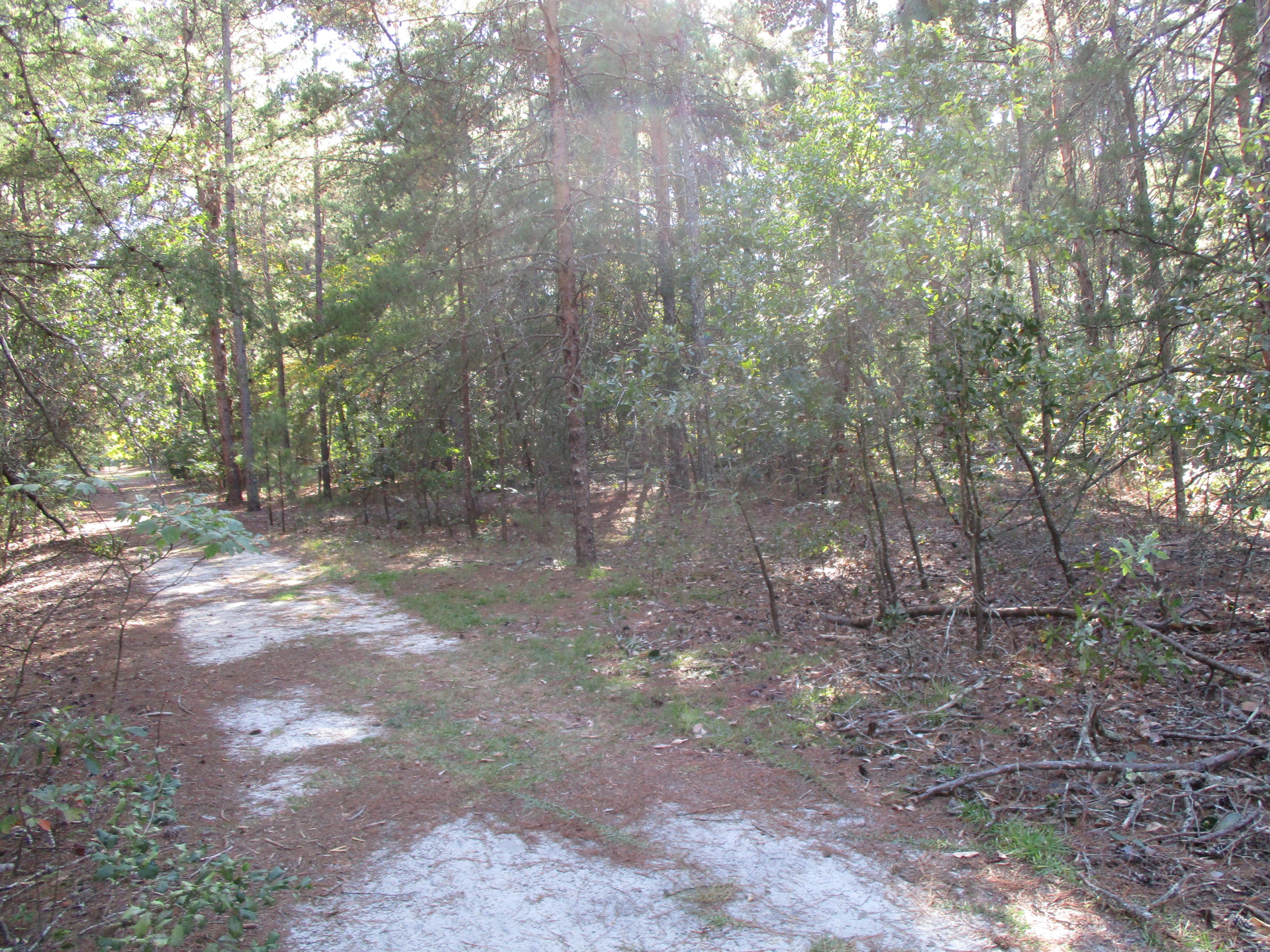1249 Linden Road Aberdeen, NC 28315 - Photo 4 of 4 IMG_3679