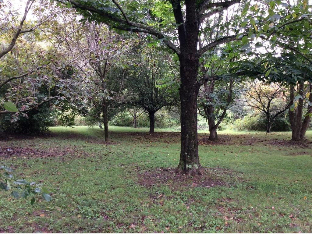 30453 Old Saltworks Road Meadowview, VA 24361 - Photo 4 of 8 Photo 4