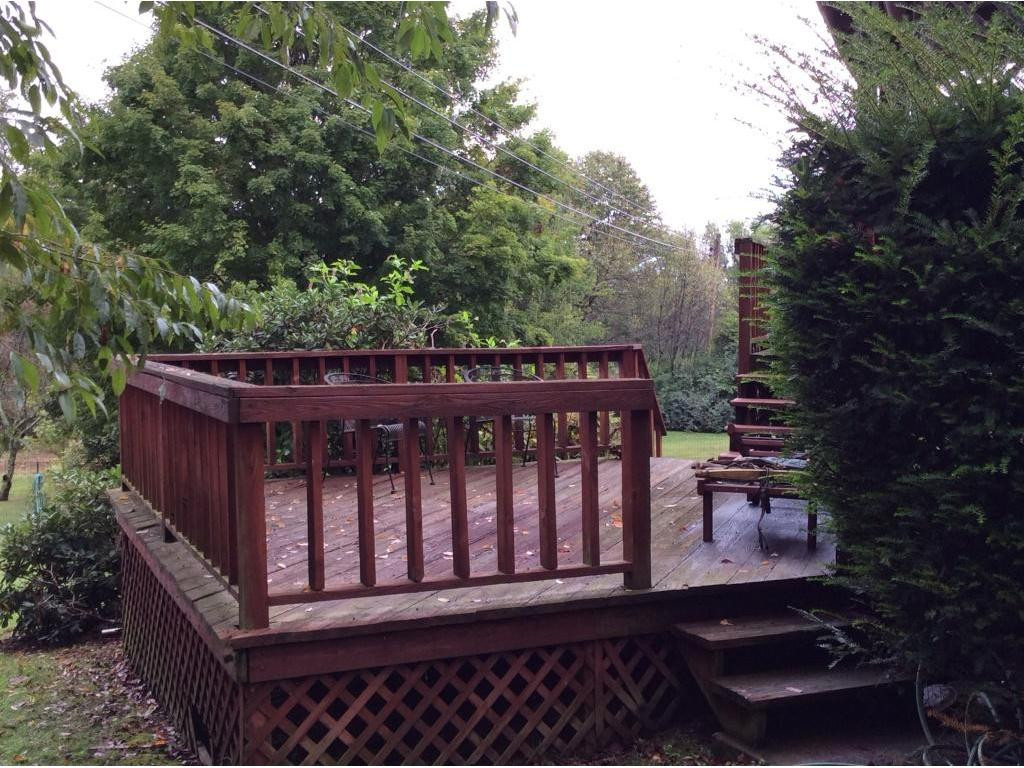 30453 Old Saltworks Road Meadowview, VA 24361 - Photo 5 of 8 Photo 5