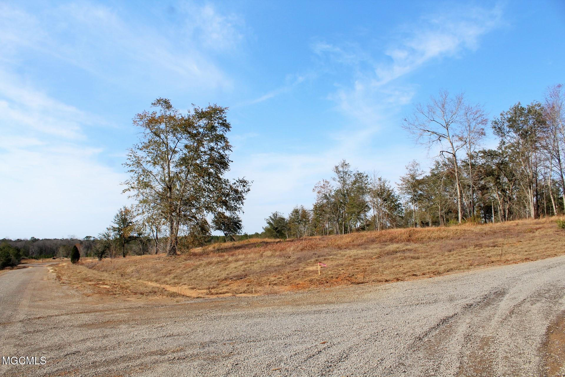 10-ac Buddy Finch Road Lucedale, MS 39452 - Photo 1 of 19 IMG_8448