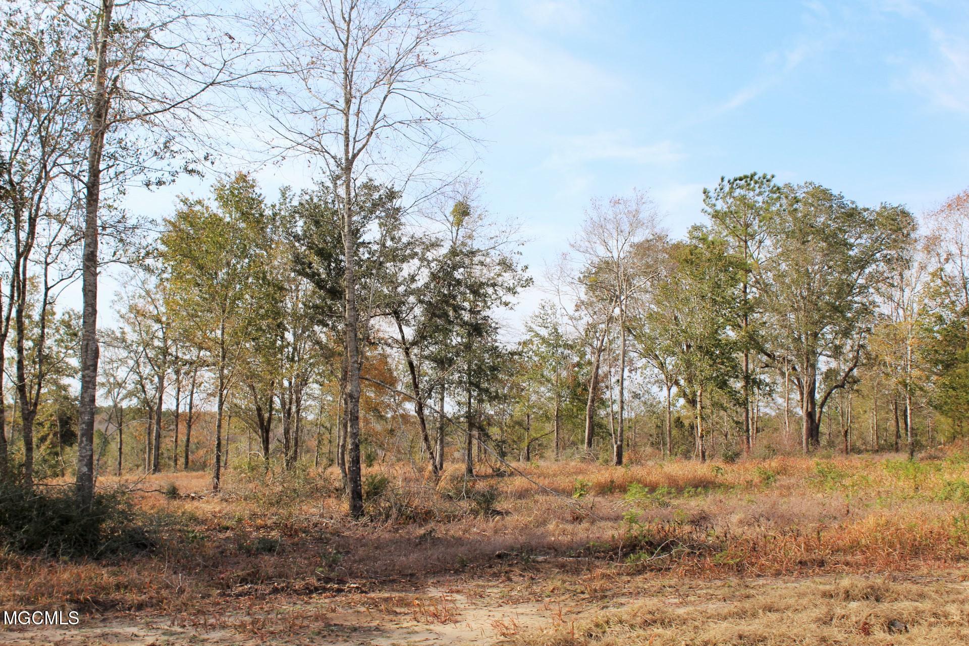 10-ac Buddy Finch Road Lucedale, MS 39452 - Photo 14 of 19 IMG_8447