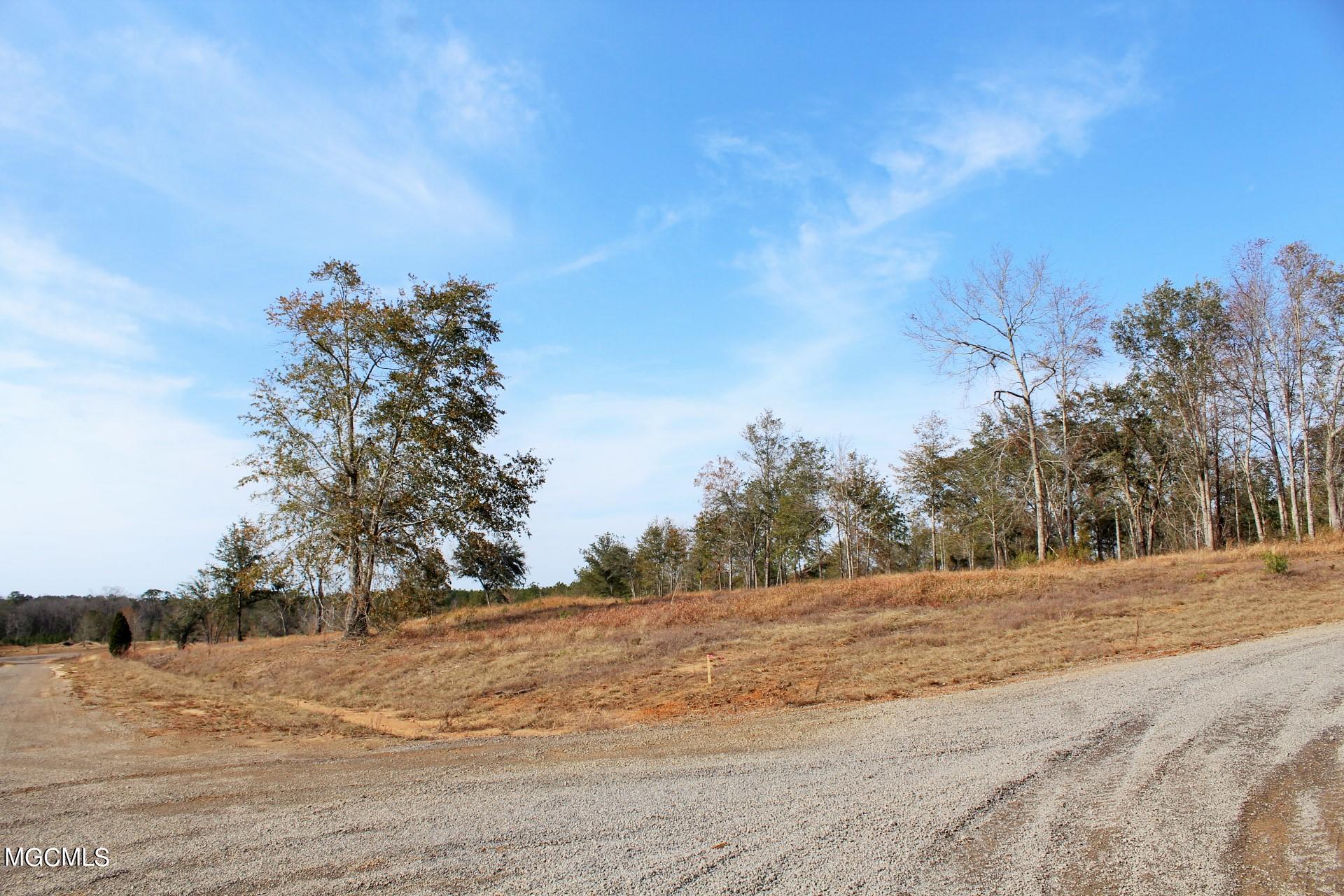 10-ac Buddy Finch Road Lucedale, MS 39452 - Photo 15 of 19 IMG_8449