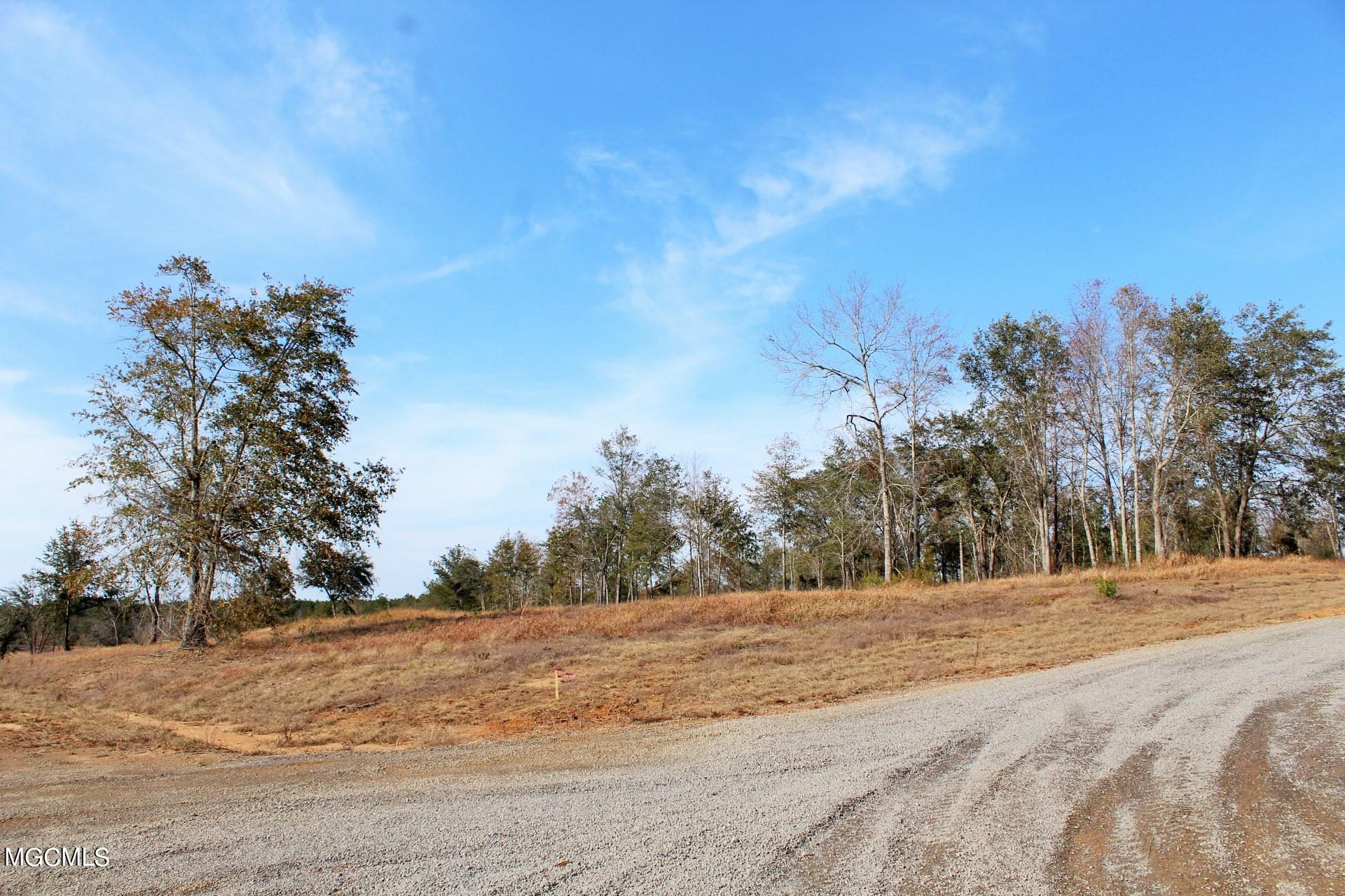 10-ac Buddy Finch Road Lucedale, MS 39452 - Photo 16 of 19 IMG_8450