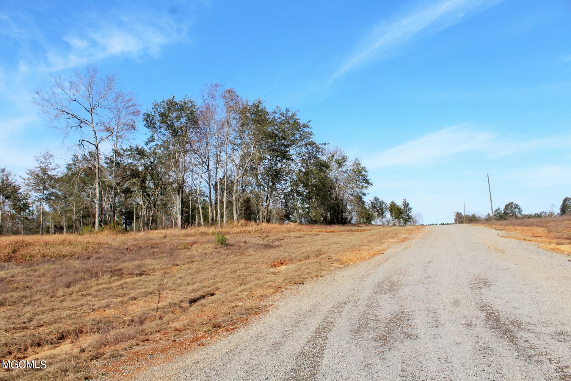 10-ac Buddy Finch Road Lucedale, MS 39452 - Photo 17 of 19 IMG_8451