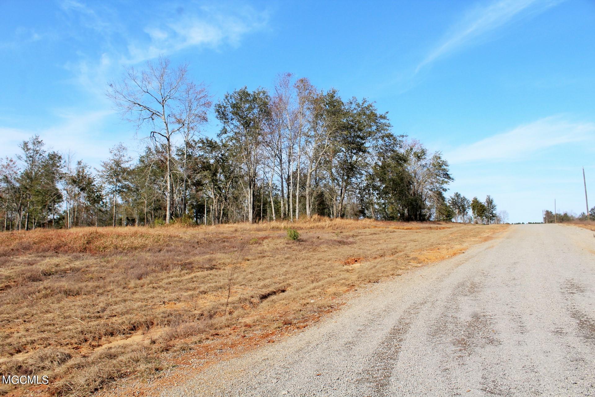 10-ac Buddy Finch Road Lucedale, MS 39452 - Photo 18 of 19 IMG_8452