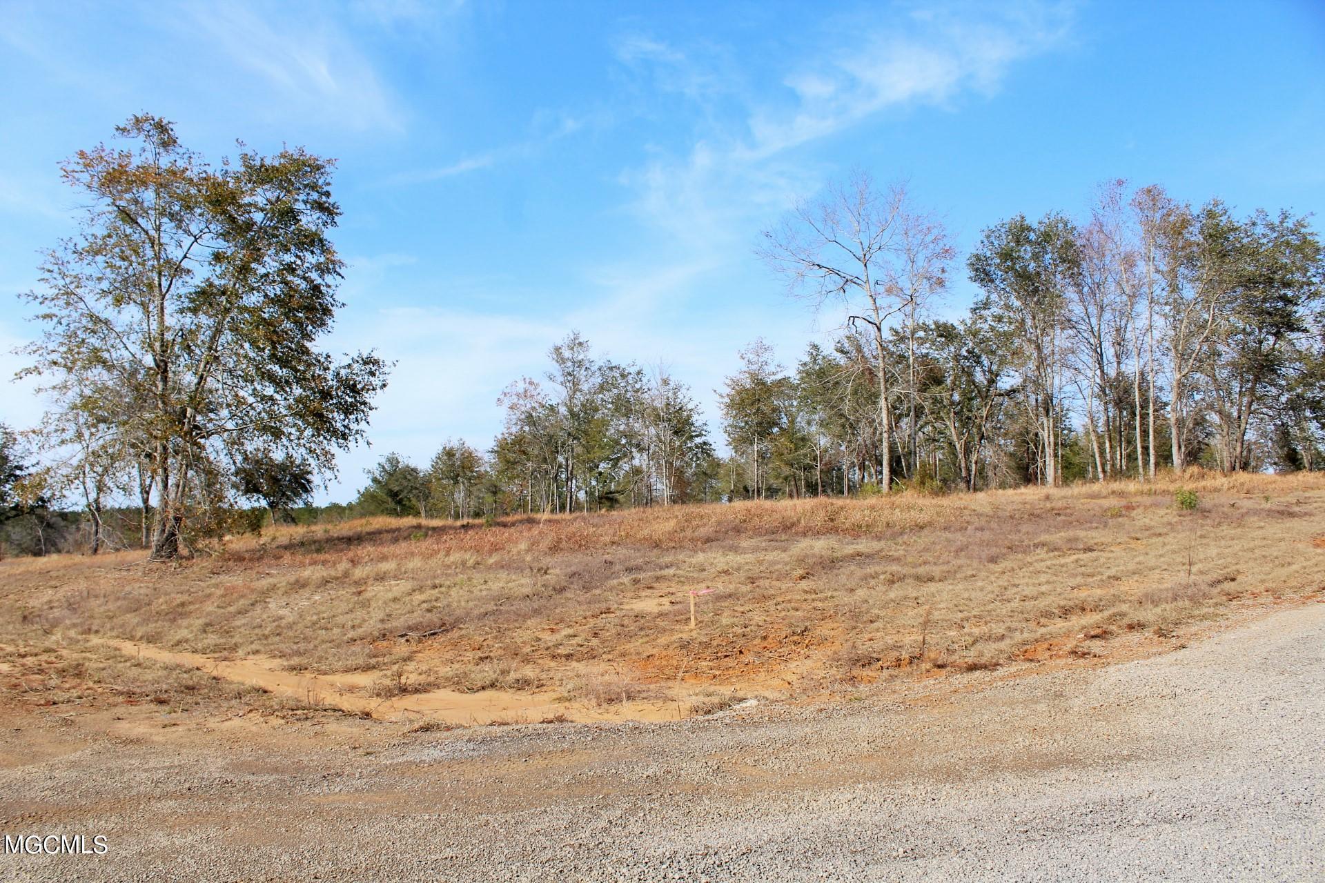 10-ac Buddy Finch Road Lucedale, MS 39452 - Photo 19 of 19 IMG_8453