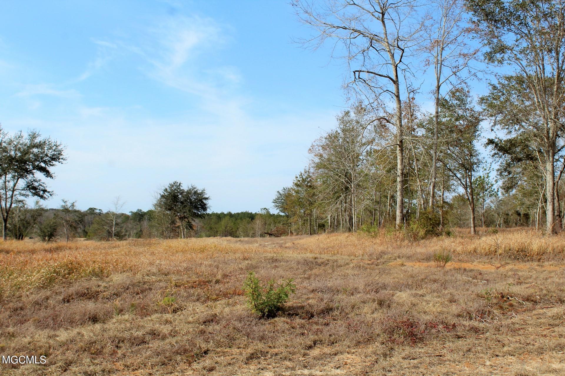 10-ac Buddy Finch Road Lucedale, MS 39452 - Photo 3 of 19 IMG_8436