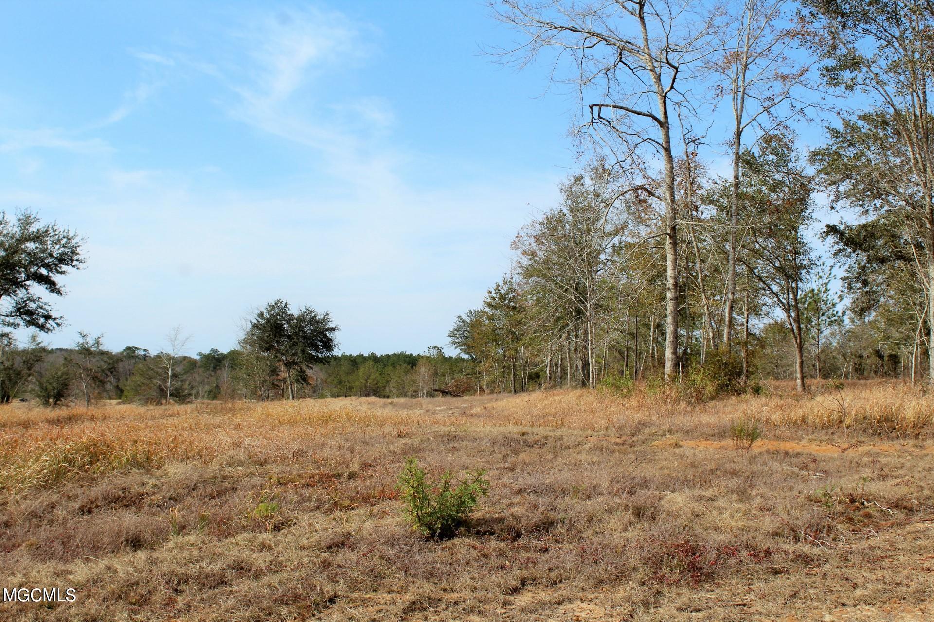 10-ac Buddy Finch Road Lucedale, MS 39452 - Photo 4 of 19 IMG_8437