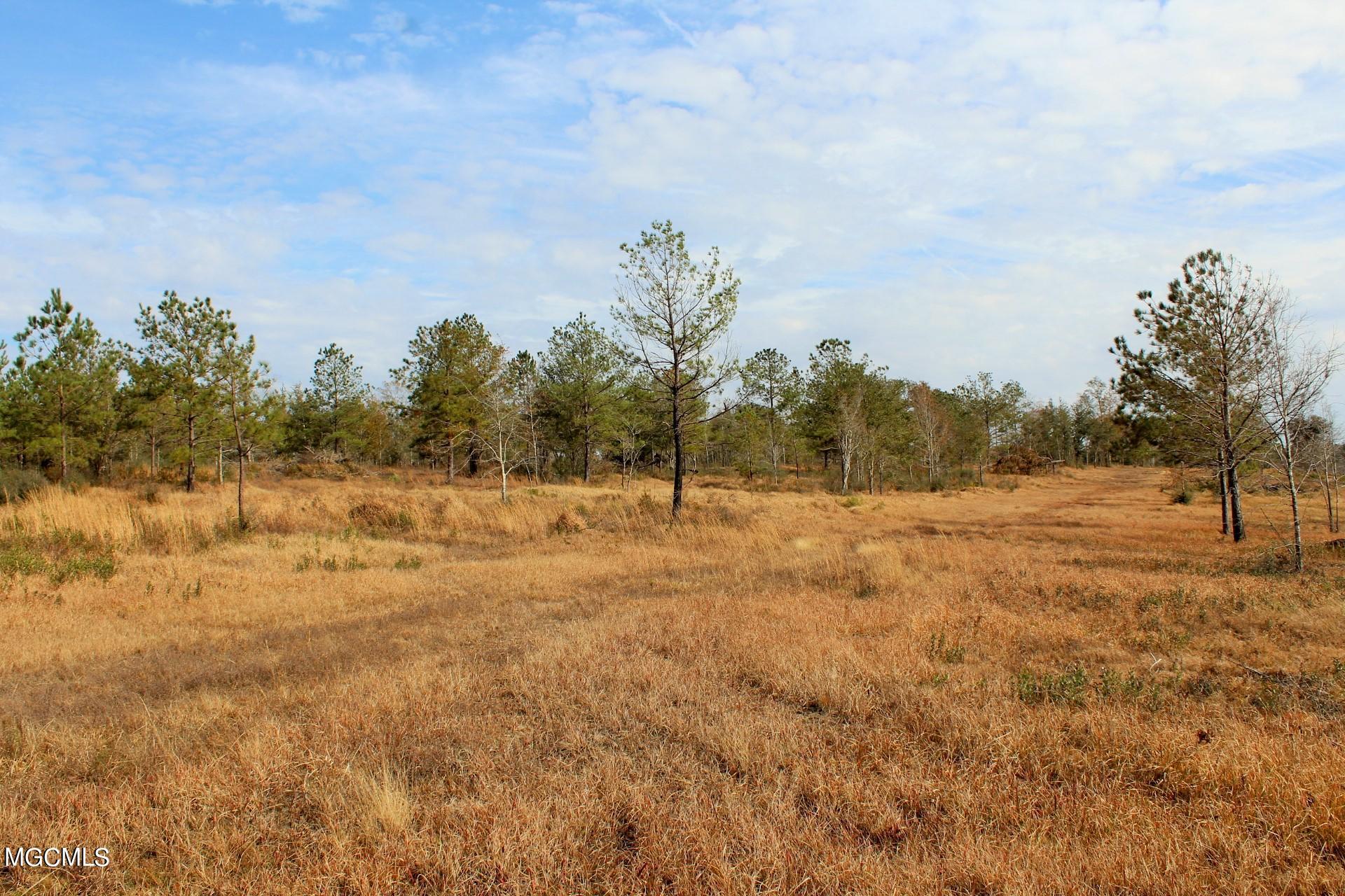 10-ac Buddy Finch Road Lucedale, MS 39452 - Photo 5 of 19 IMG_8438
