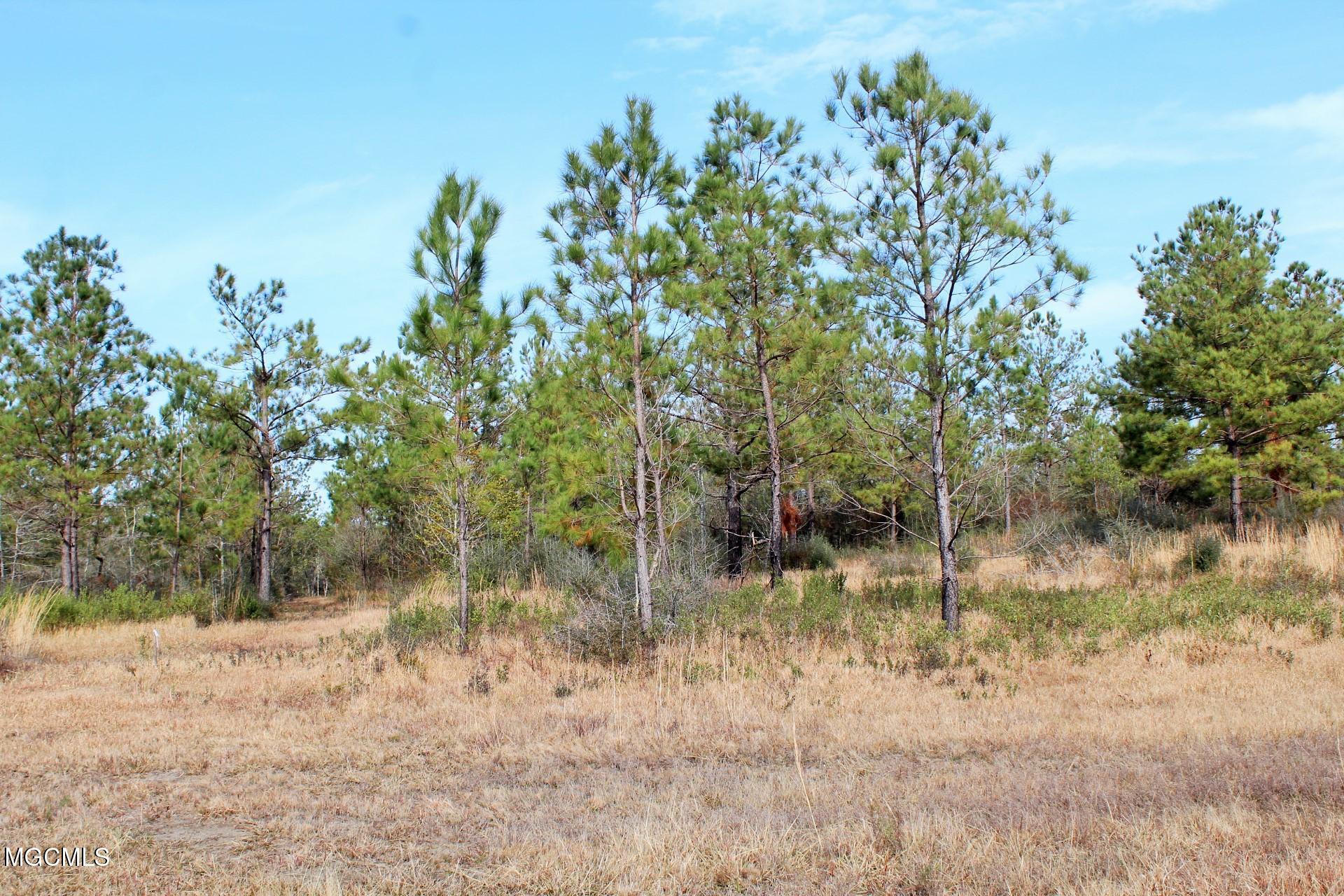 10-ac Buddy Finch Road Lucedale, MS 39452 - Photo 7 of 19 IMG_8440