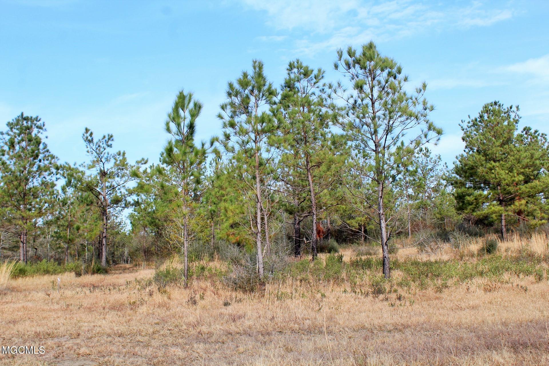 10-ac Buddy Finch Road Lucedale, MS 39452 - Photo 8 of 19 IMG_8441
