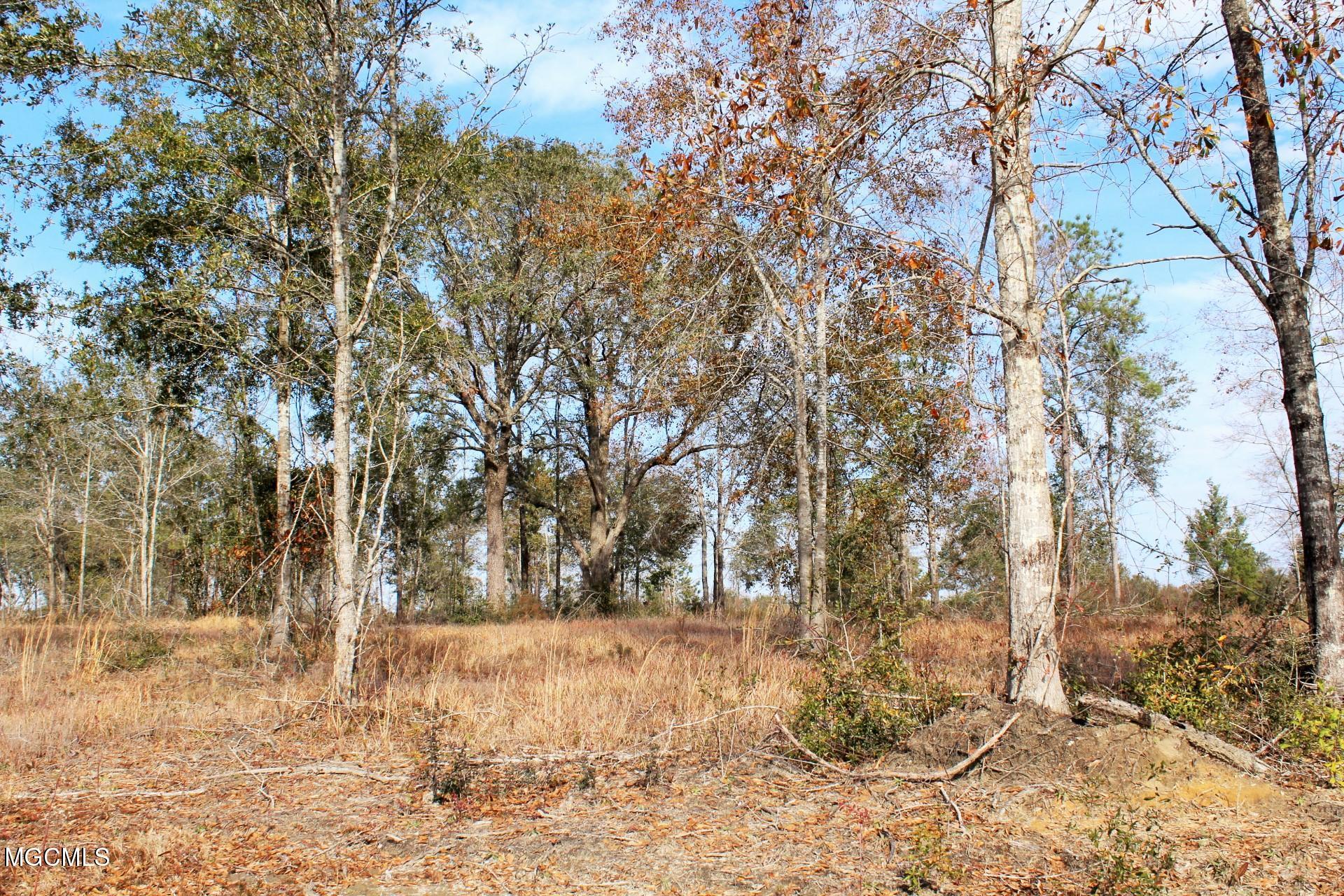 10-ac Buddy Finch Road Lucedale, MS 39452 - Photo 10 of 19 IMG_8443