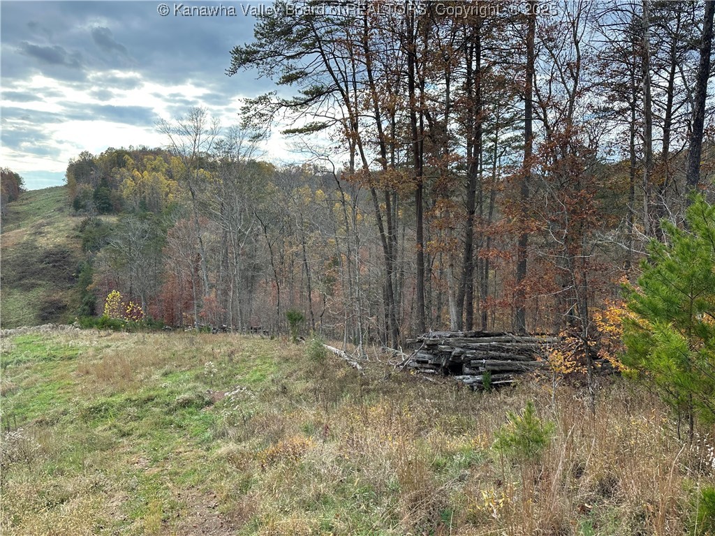 621 3 Mile Road Brohard, WV 26138 - Photo 4 of 48 Gallery Image 4