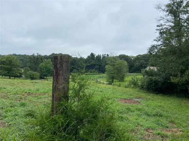 a view of a lush green outdoor space with a lake view and a forest