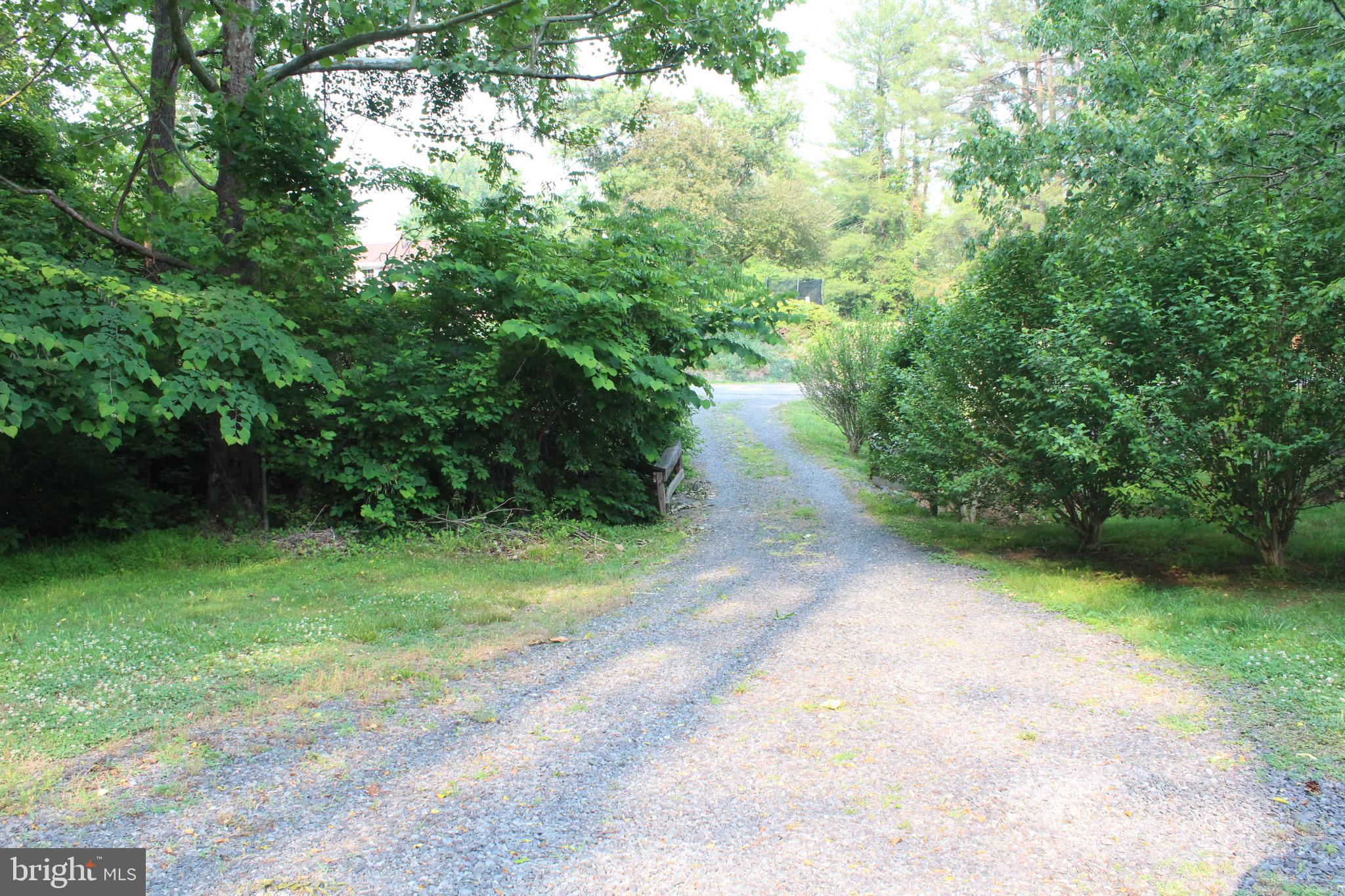 24256 Cedar Ridge Road Rapidan, VA 22733 - Photo 11 of 18 driveway