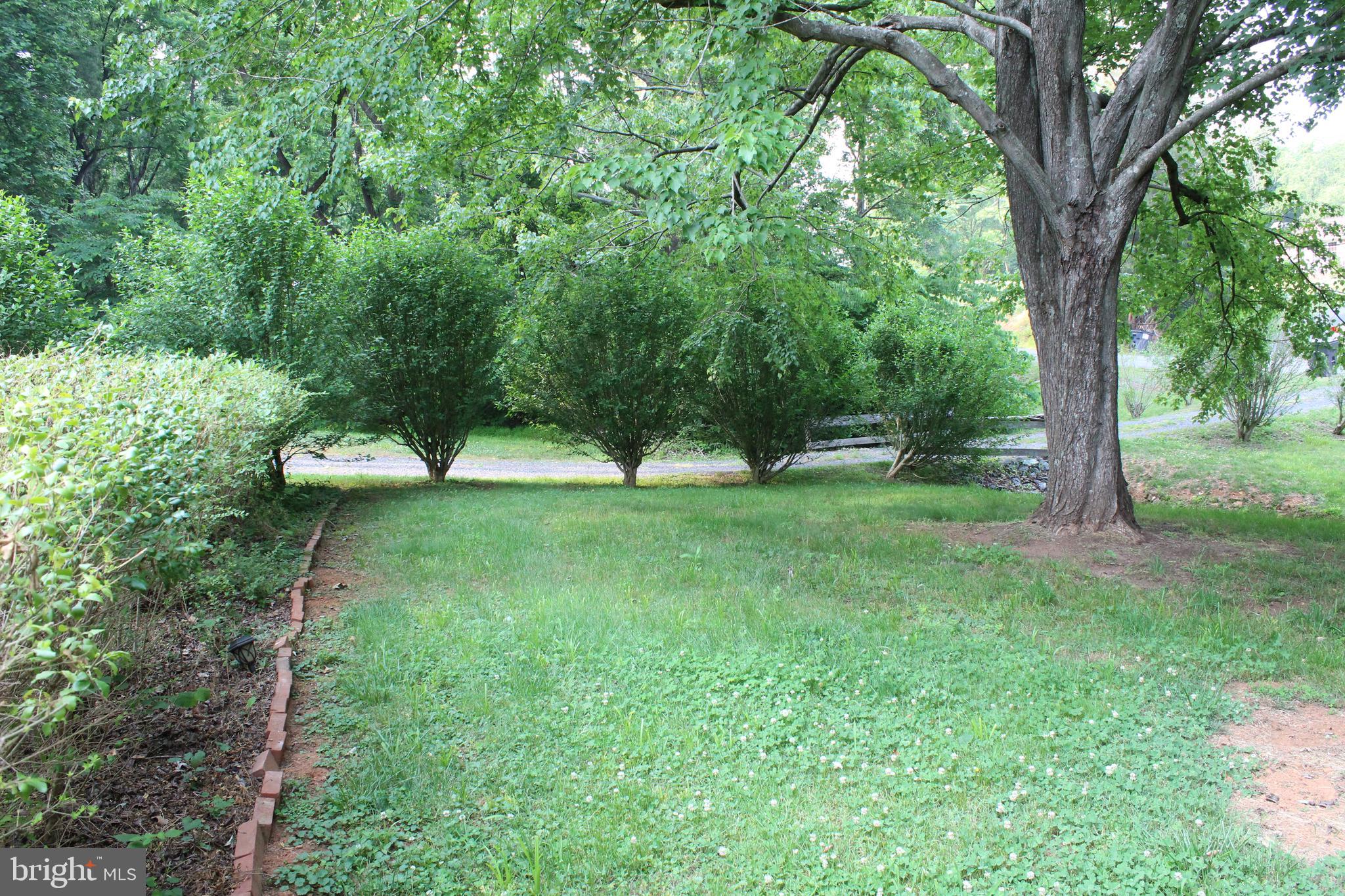 24256 Cedar Ridge Road Rapidan, VA 22733 - Photo 16 of 18 front yard
