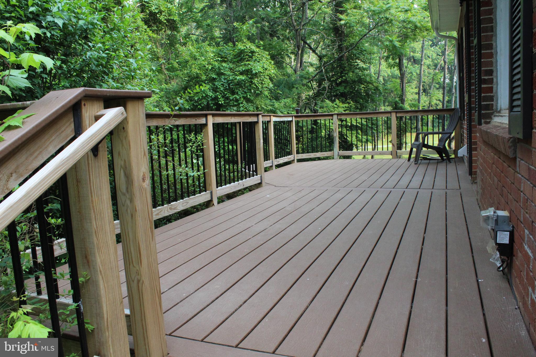 24256 Cedar Ridge Road Rapidan, VA 22733 - Photo 18 of 18 new Trex decking