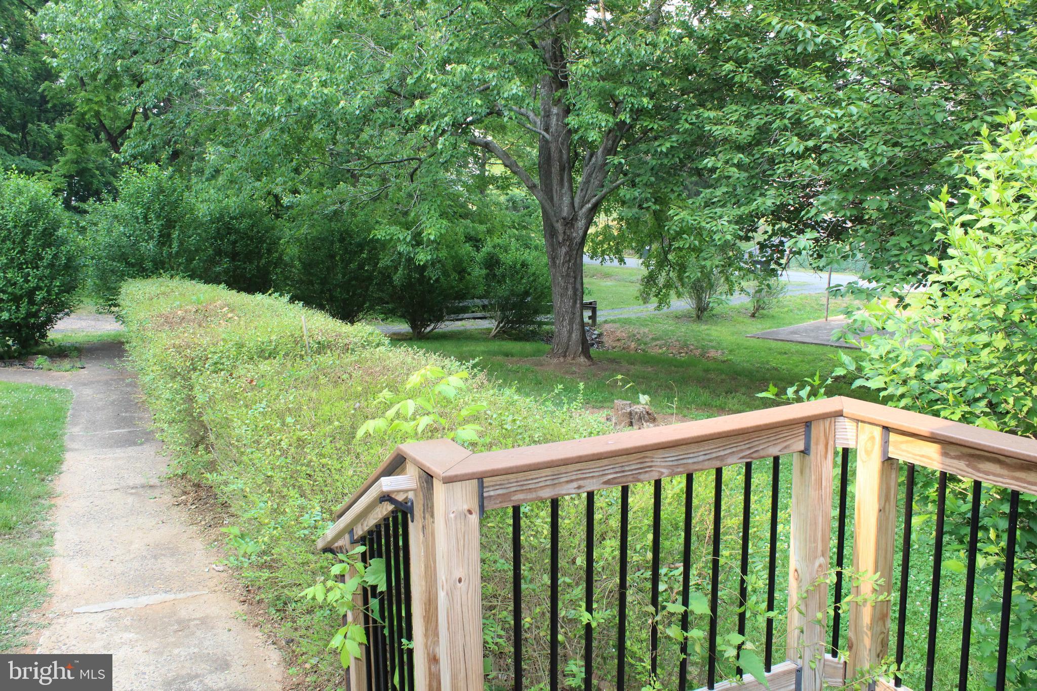 24256 Cedar Ridge Road Rapidan, VA 22733 - Photo 8 of 18 Front yard/driveway