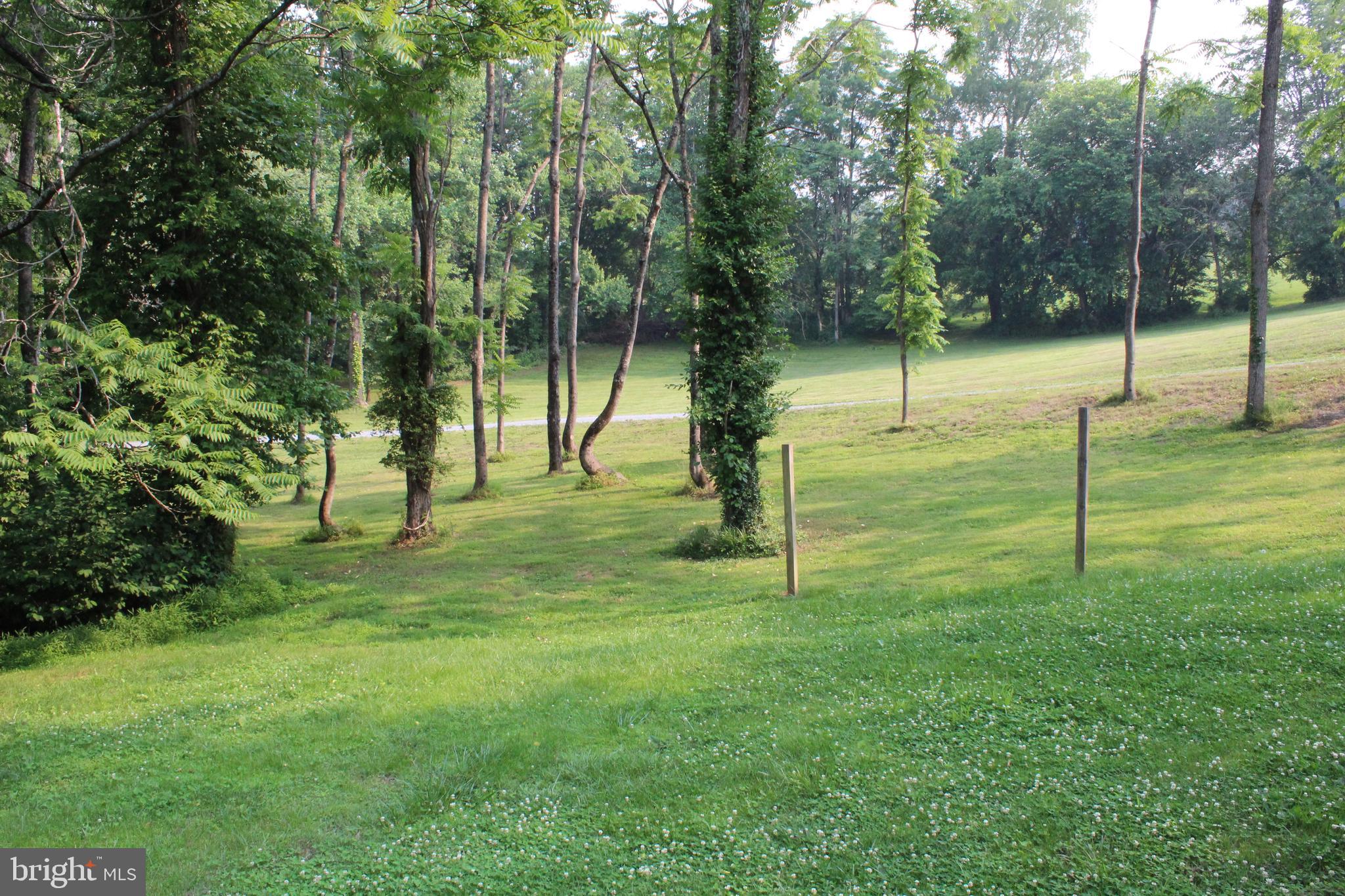 24256 Cedar Ridge Road Rapidan, VA 22733 - Photo 9 of 18 side yard towards neighbors yard