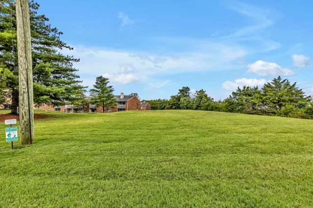 a view of yard with swimming pool and green space
